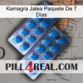 Kamagra Jalea Paquete De 7 Días viagra2